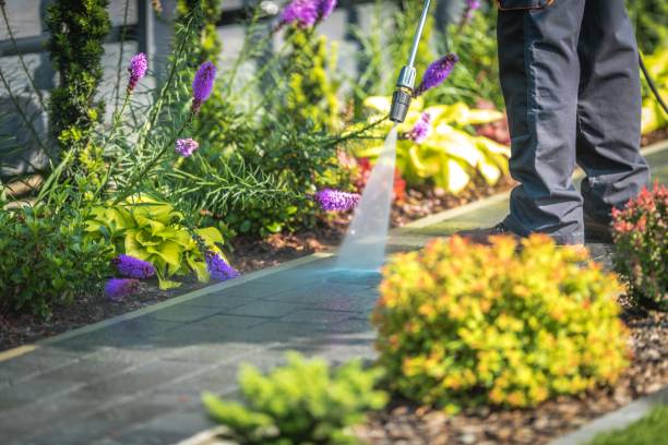 Best Warehouse Cleaning  in Birdsboro, PA